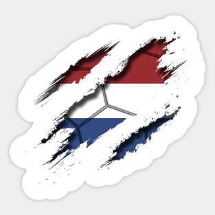 Netherlands Football Sticker